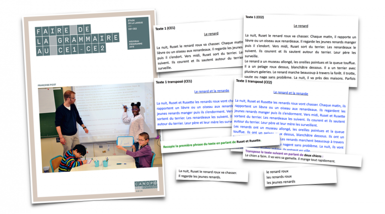 Picot – Le blog du Cancre