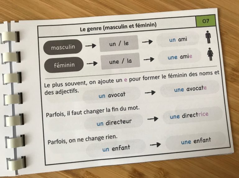 Le Blog Du Cancre Dictée Ce1 Ce2