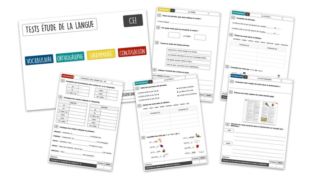 Tests étude de la langue